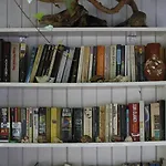 Karakus * Çıralı