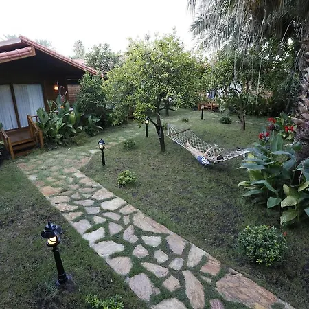 ゲストハウス Karakus Çıralı