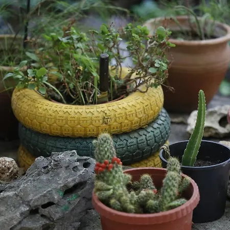 Karakus ゲストハウス Çıralı