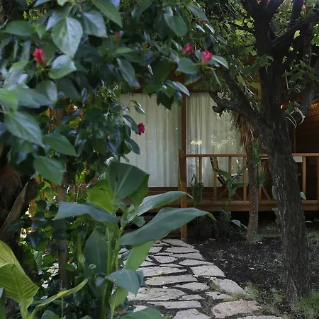 Karakus ゲストハウス