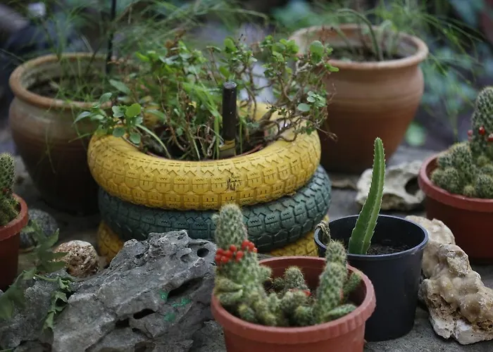 Karakus بيت ضيافة Çıralı