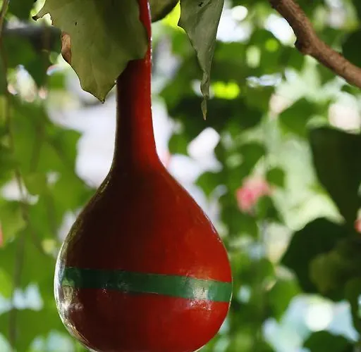 Karakus بيت ضيافة